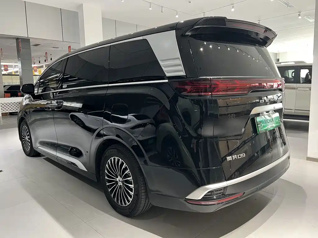 Denza Denza D9 — миниатюра 9