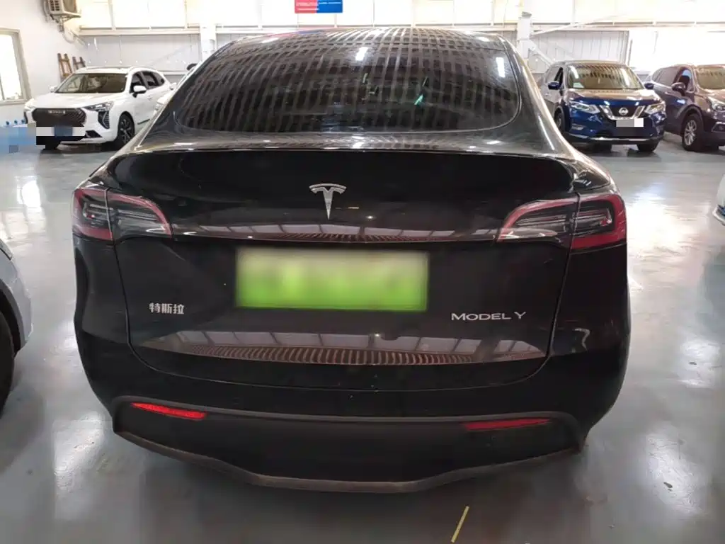 Tesla Model Y — миниатюра 6