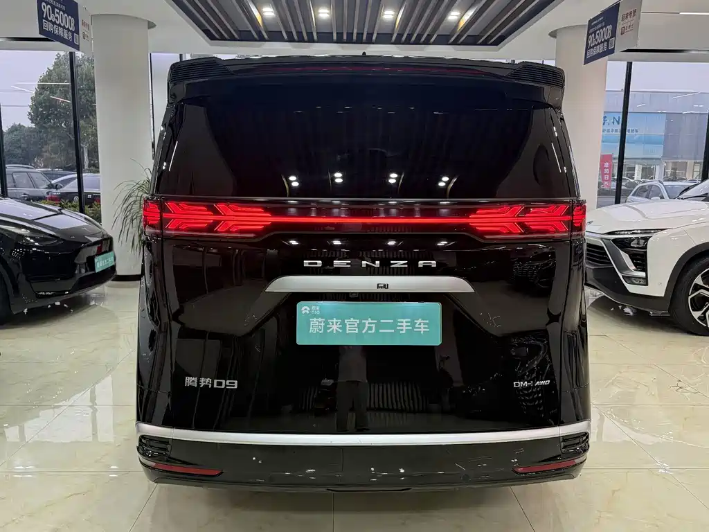 Denza Denza D9 — миниатюра 11