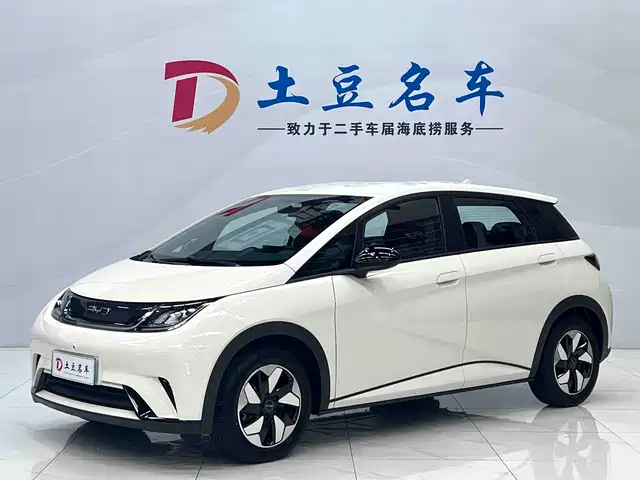 2026 BYD Dolphin