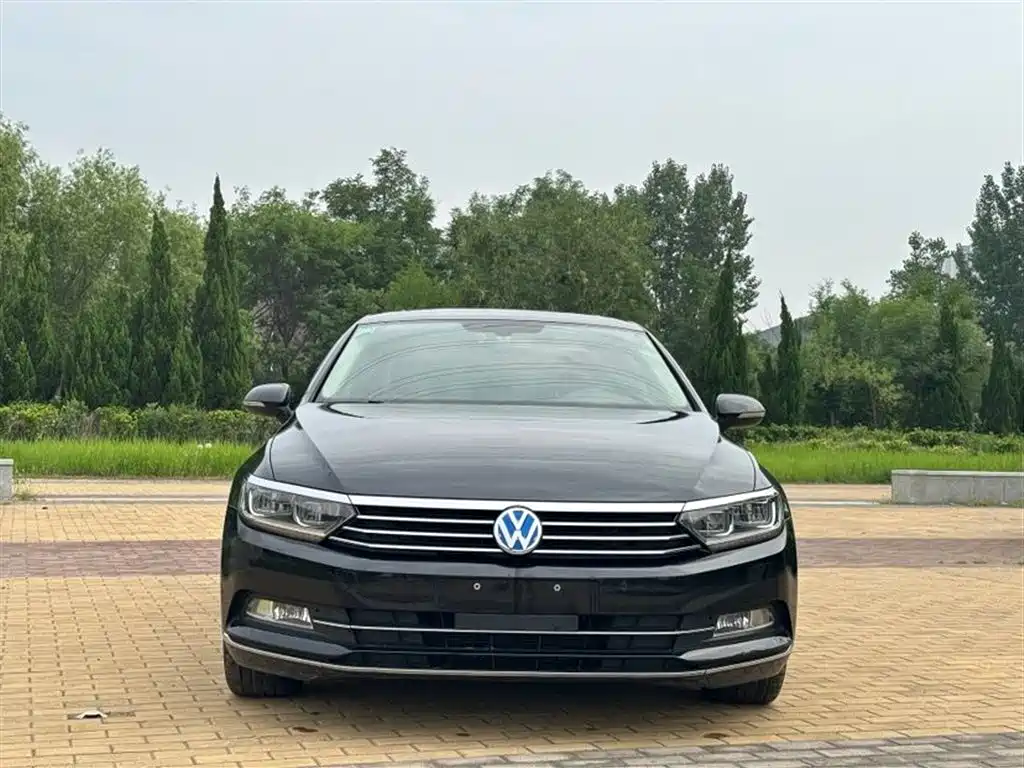 Volkswagen Magotan 2018 330TSI DSG Luxury