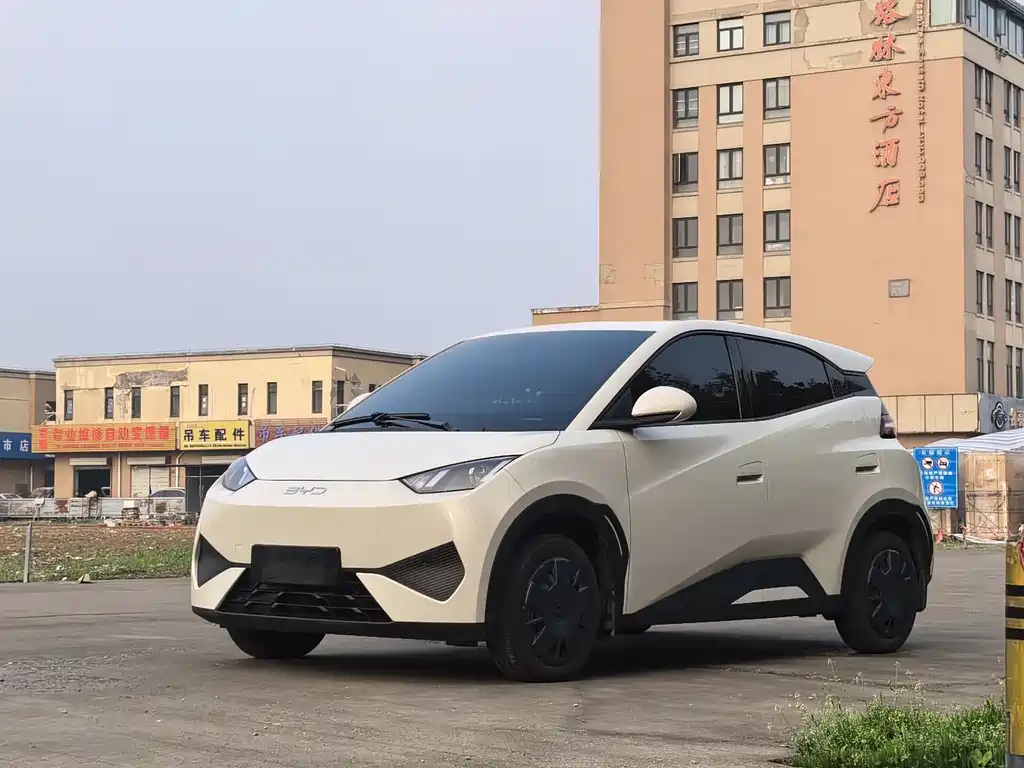 Byd Seagull 2025