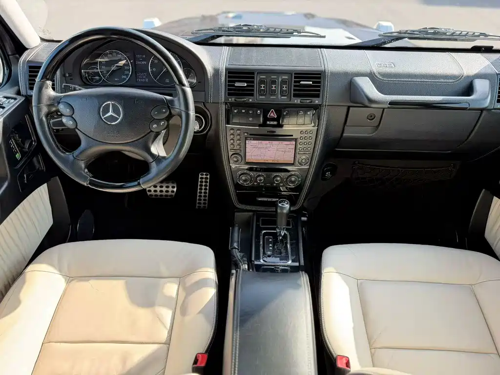 Mercedes-Benz G-Class G 2010 G 500