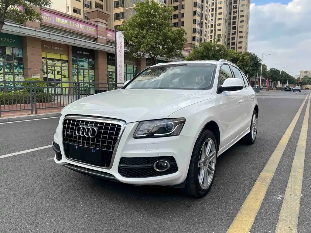 Audi Q5 (Import) — миниатюра 2