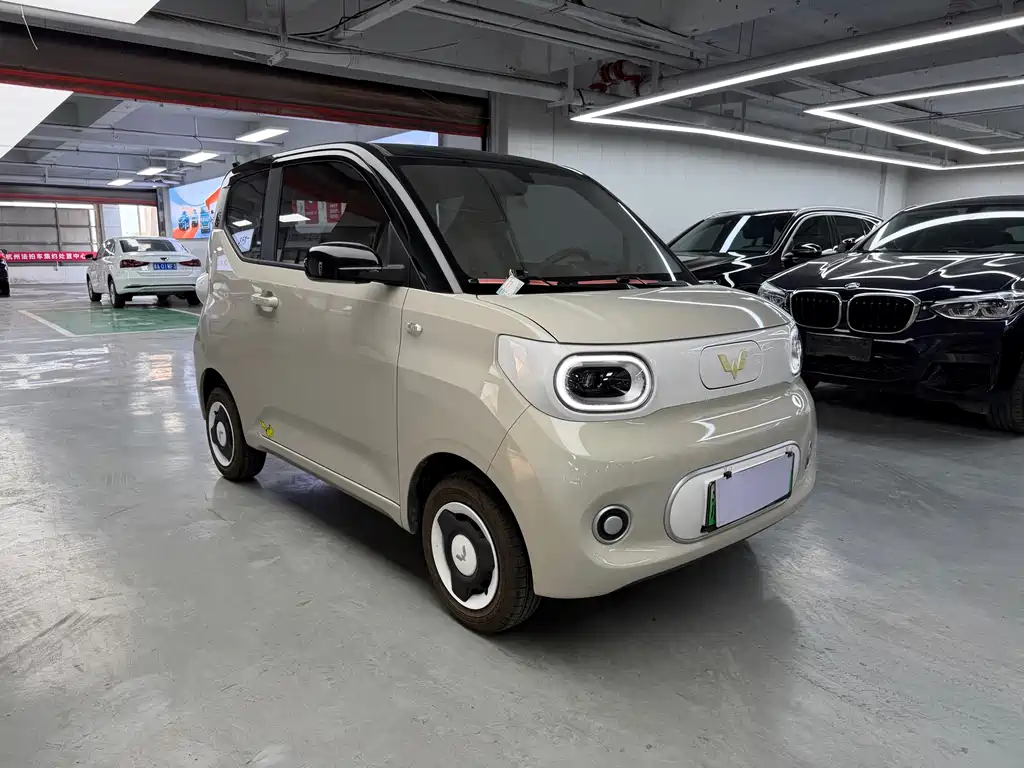 Wuling Mini EV MINIEV 2024 215km