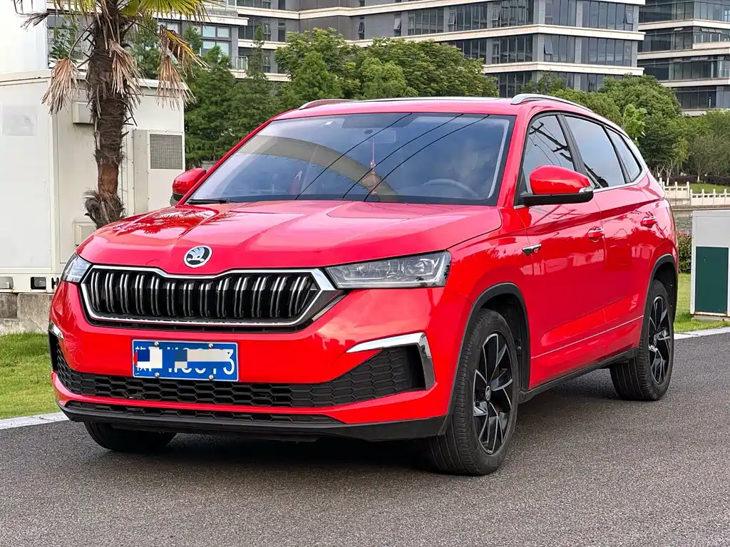 Купить Skoda Kamiq