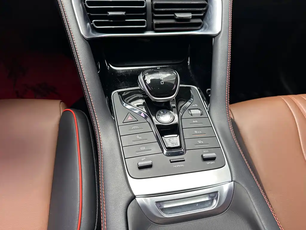 BYD PLUS — миниатюра 11