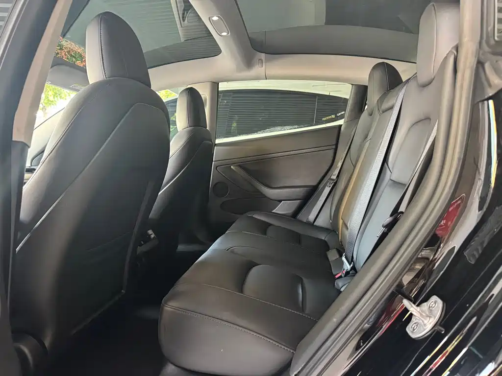 Tesla Model 3 — миниатюра 8