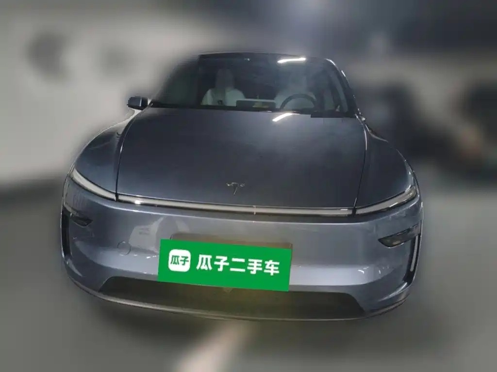 Tesla Model Y — миниатюра 24