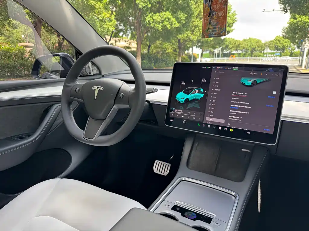 Tesla Model Y — миниатюра 13