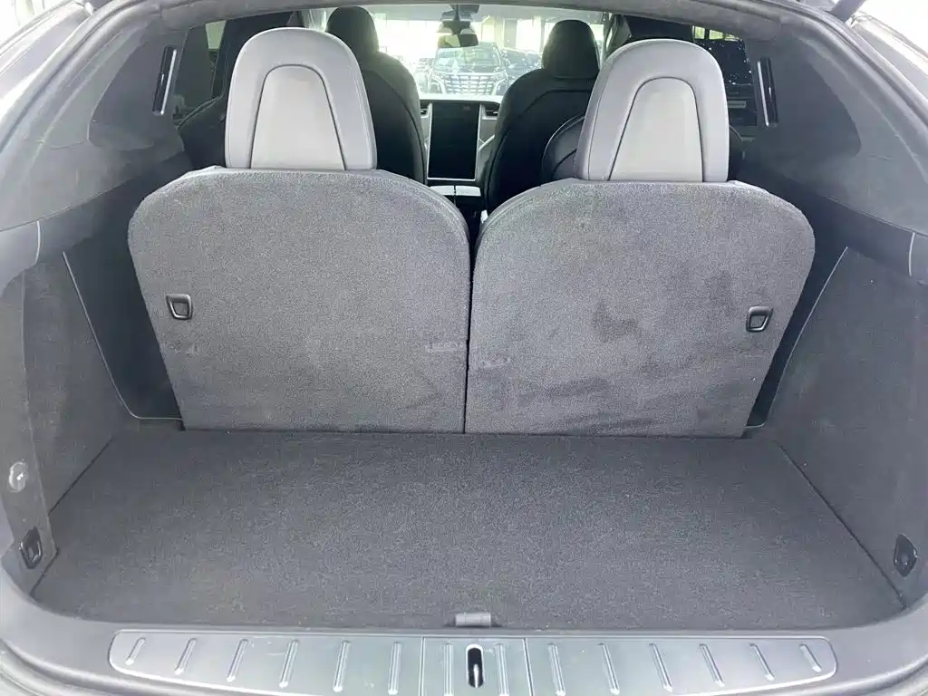 Tesla Model X — миниатюра 27