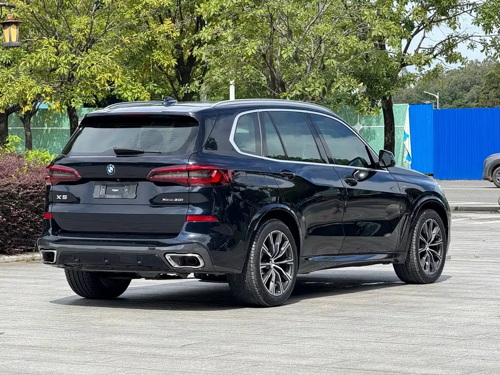 BMW X5 (Import) — миниатюра 19