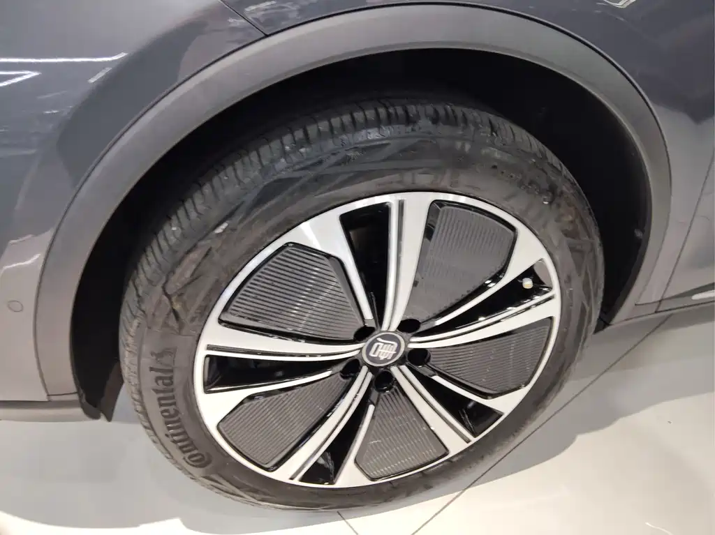 BYD Tang New Energy — миниатюра 22