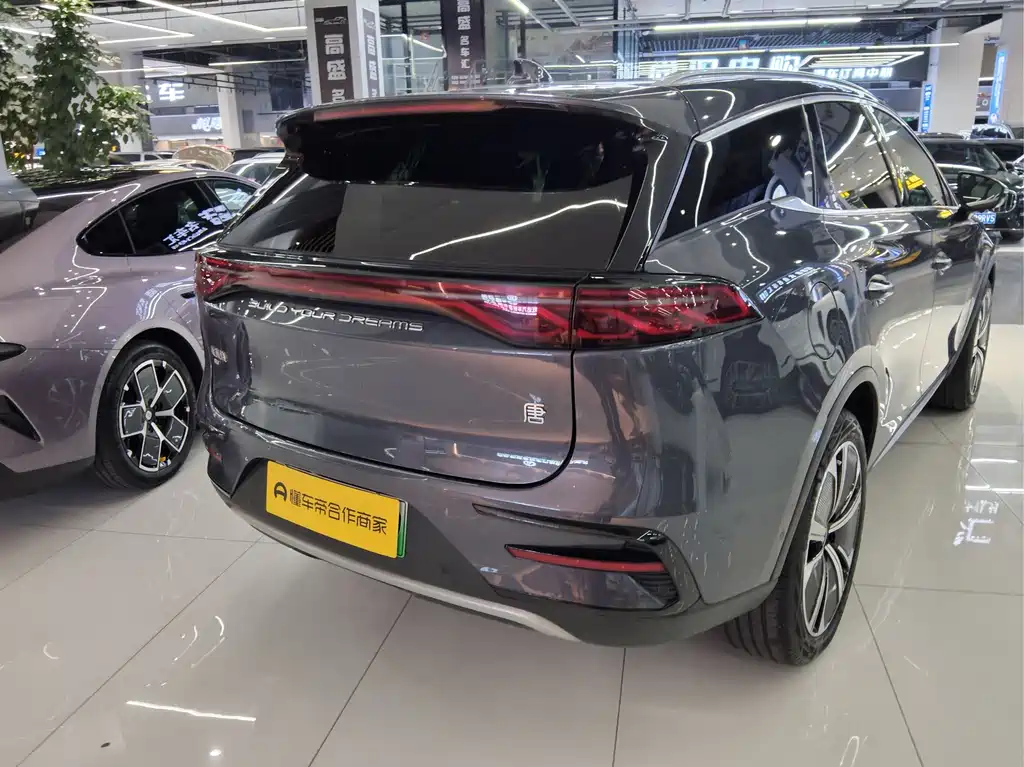 BYD Tang New Energy — миниатюра 18
