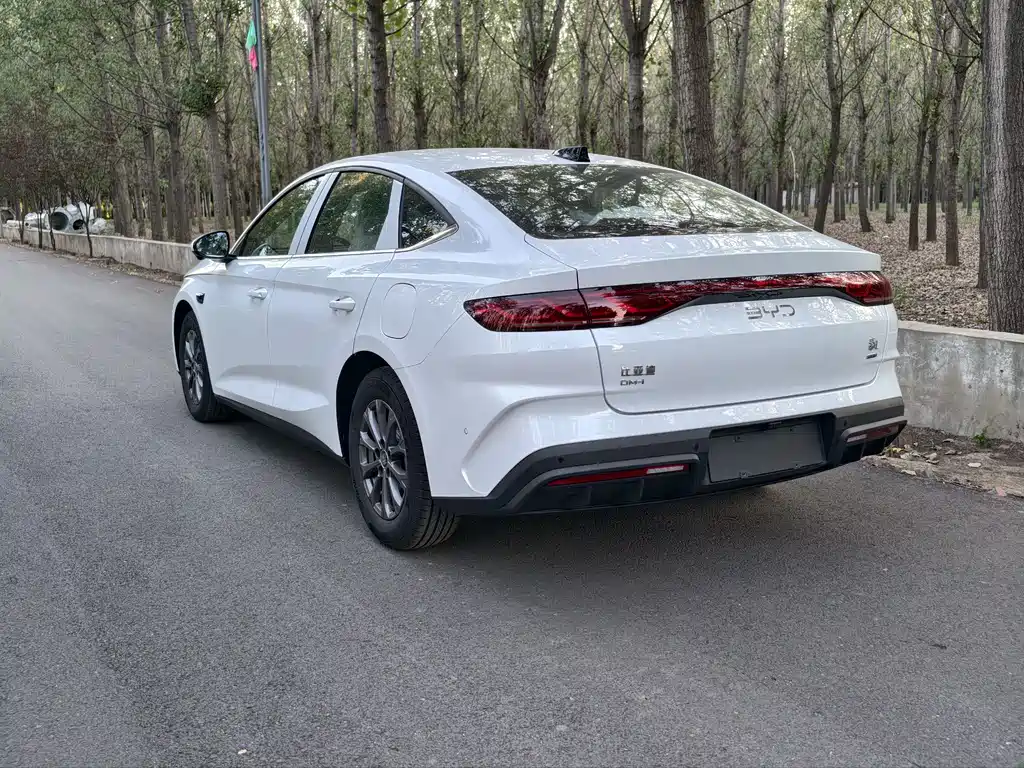 BYD QIN L