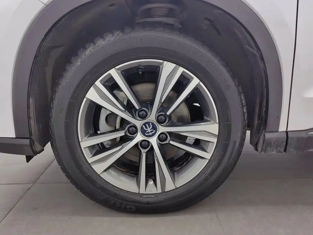 BYD Pro — миниатюра 17