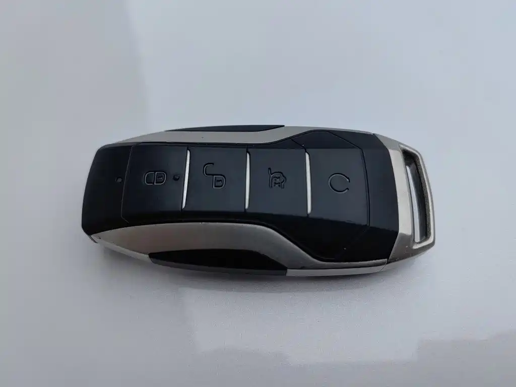 BYD Pro — миниатюра 19