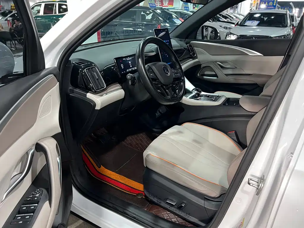 BYD SONGJIANG NEW ENERGY