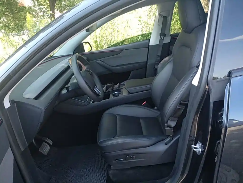 Tesla Model Y — миниатюра 15