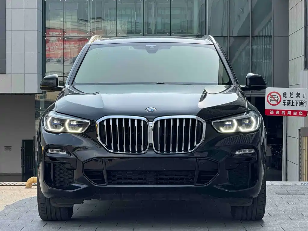 BMW X5 (Import) — миниатюра 3