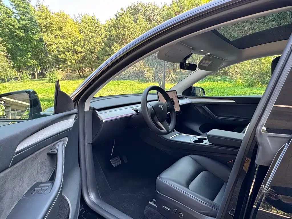 Tesla Model Y — миниатюра 5