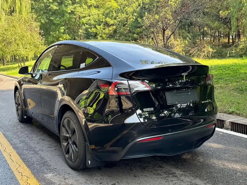 Tesla Model Y — миниатюра 13
