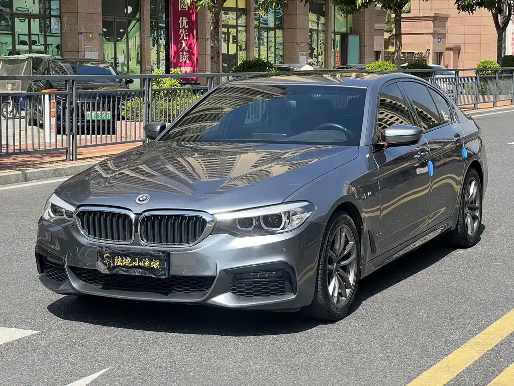 BMW 5 Series (Import) 2019