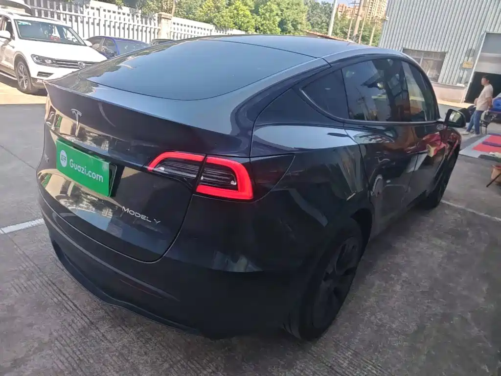 Tesla Model Y — миниатюра 7
