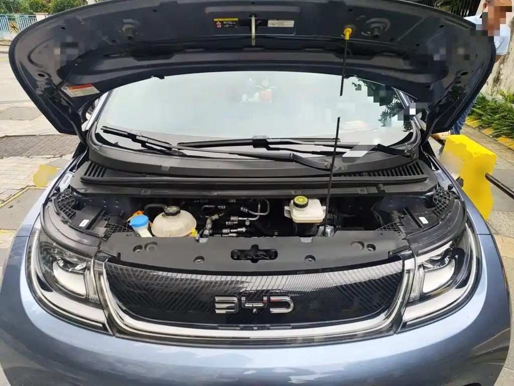 BYD Dolphin — миниатюра 16