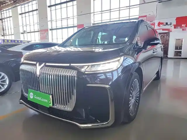 2024 Voyah Dream