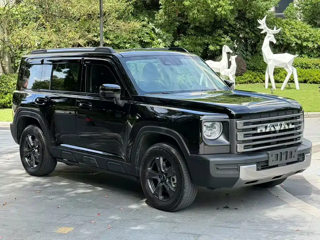 Haval Menglong New Energy — миниатюра 3