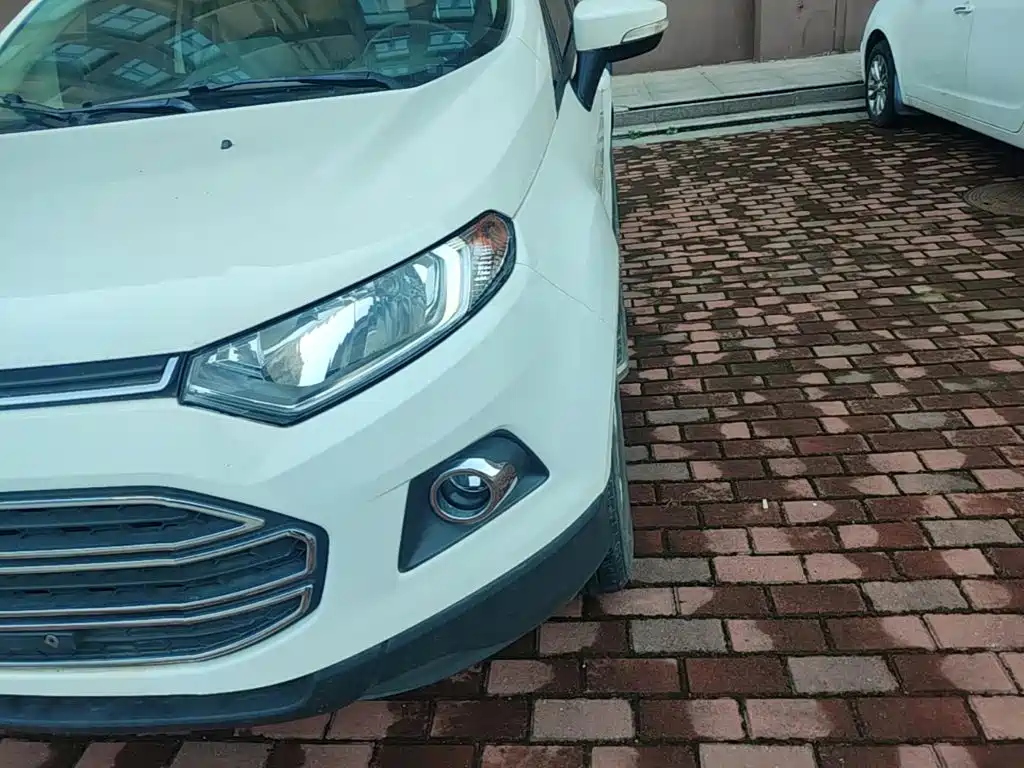Ford Ecosport — миниатюра 24