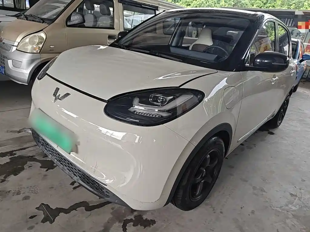 Wuling Binguo 2023 333km +