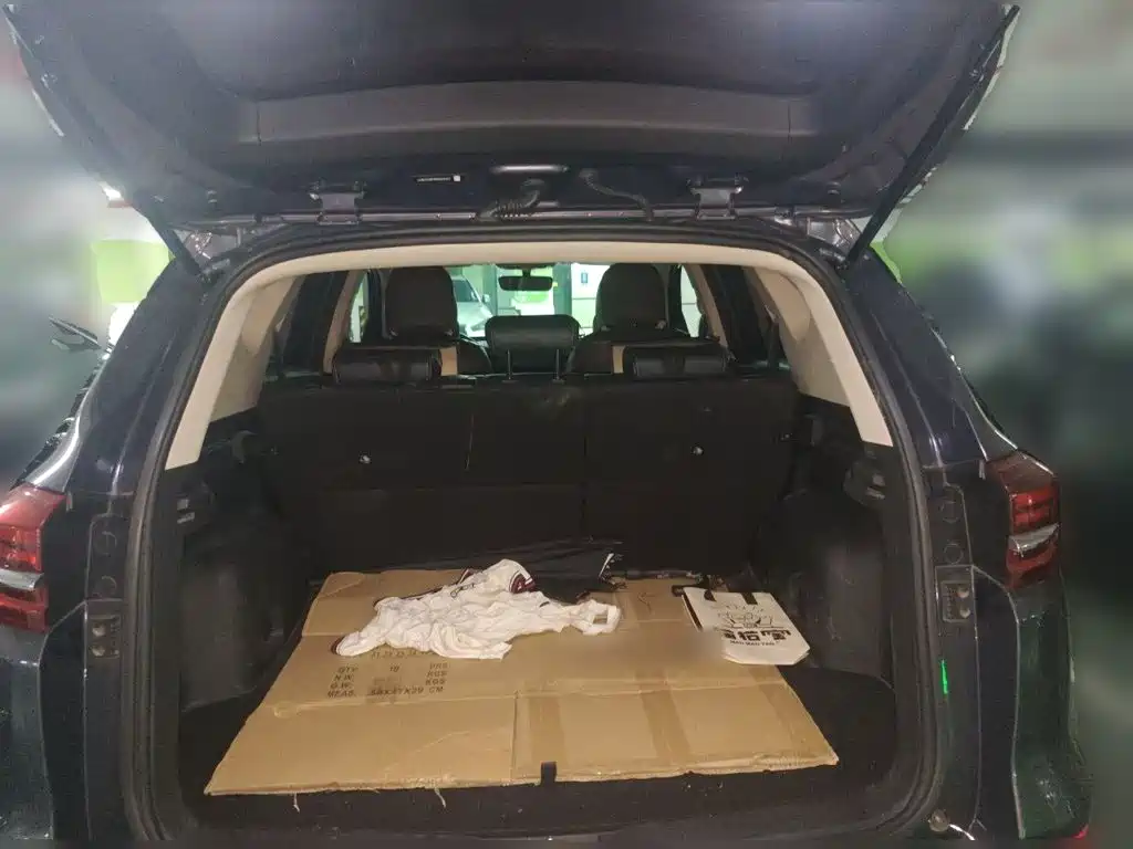 BYD Song — миниатюра 20