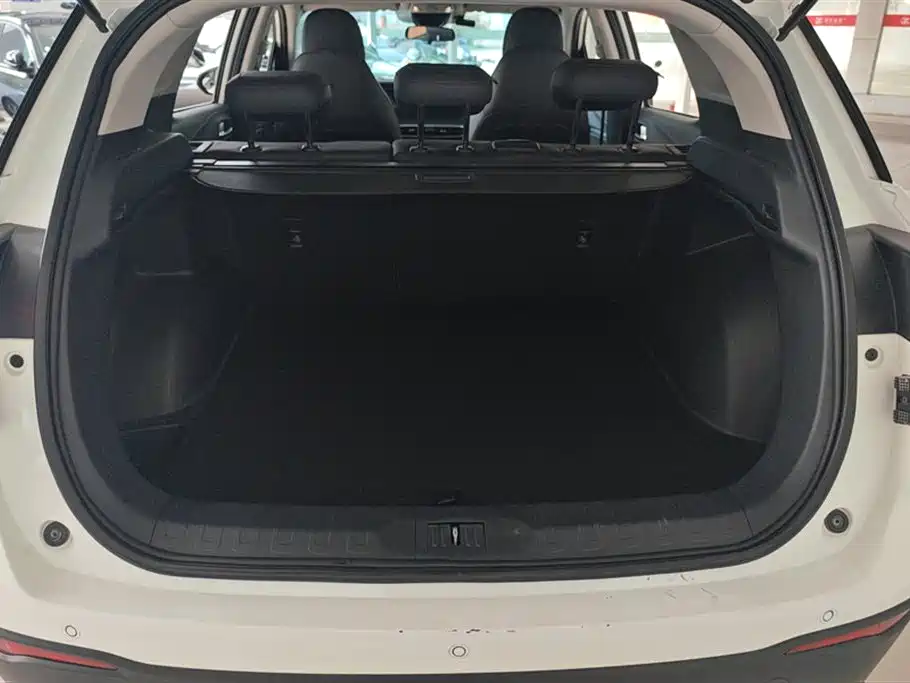 GAC GS4 2021 270T AT