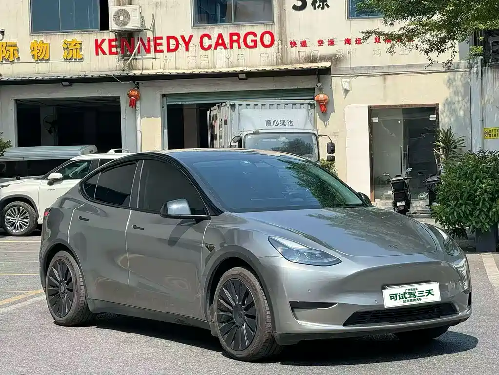 Tesla Model Y — миниатюра 3