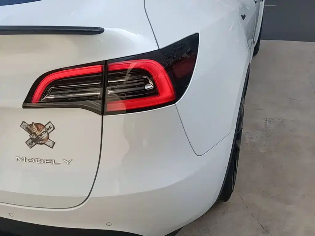 Tesla Model Y — миниатюра 8