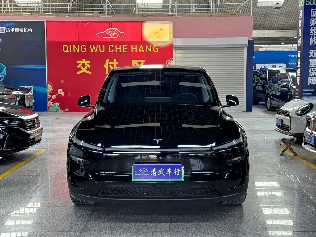 Tesla Model Y — миниатюра 2