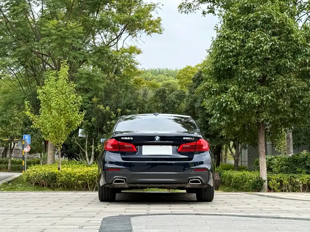 BMW 5 Series — миниатюра 8