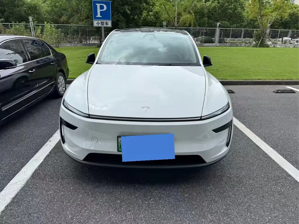 Tesla Model Y — миниатюра 2