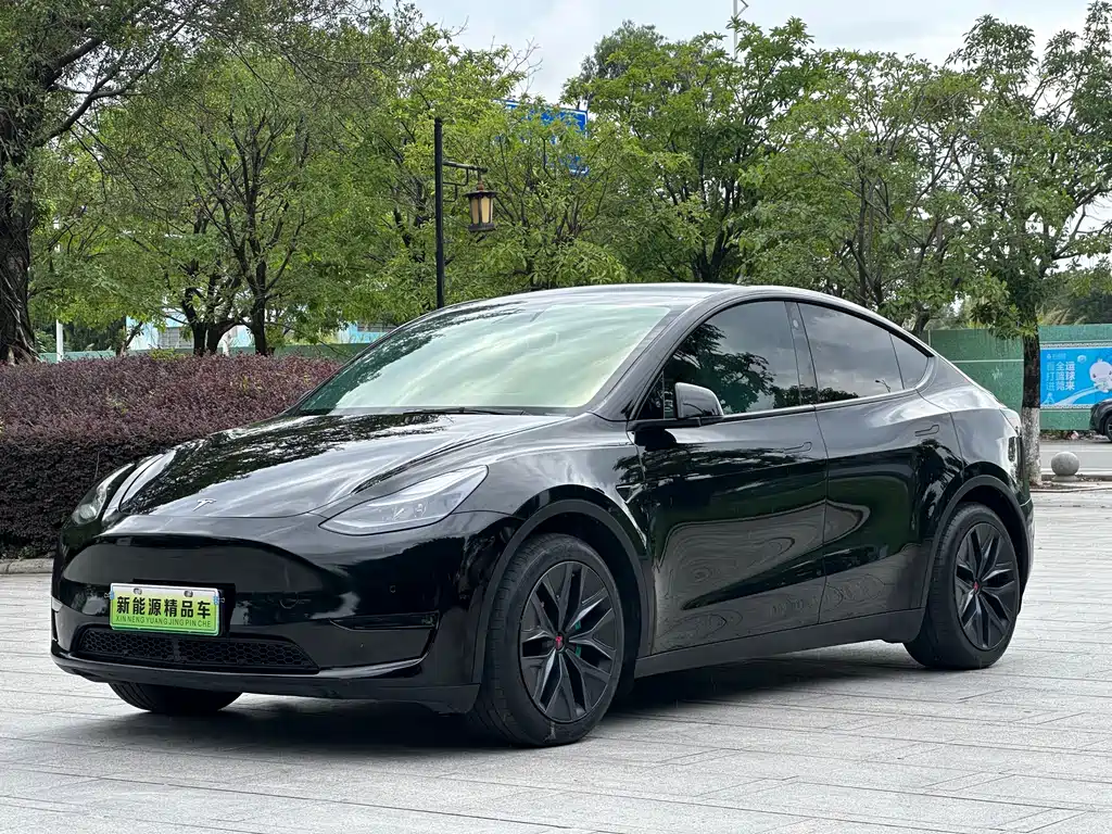 Tesla Model Y 2021 Standard Range RWD Edition