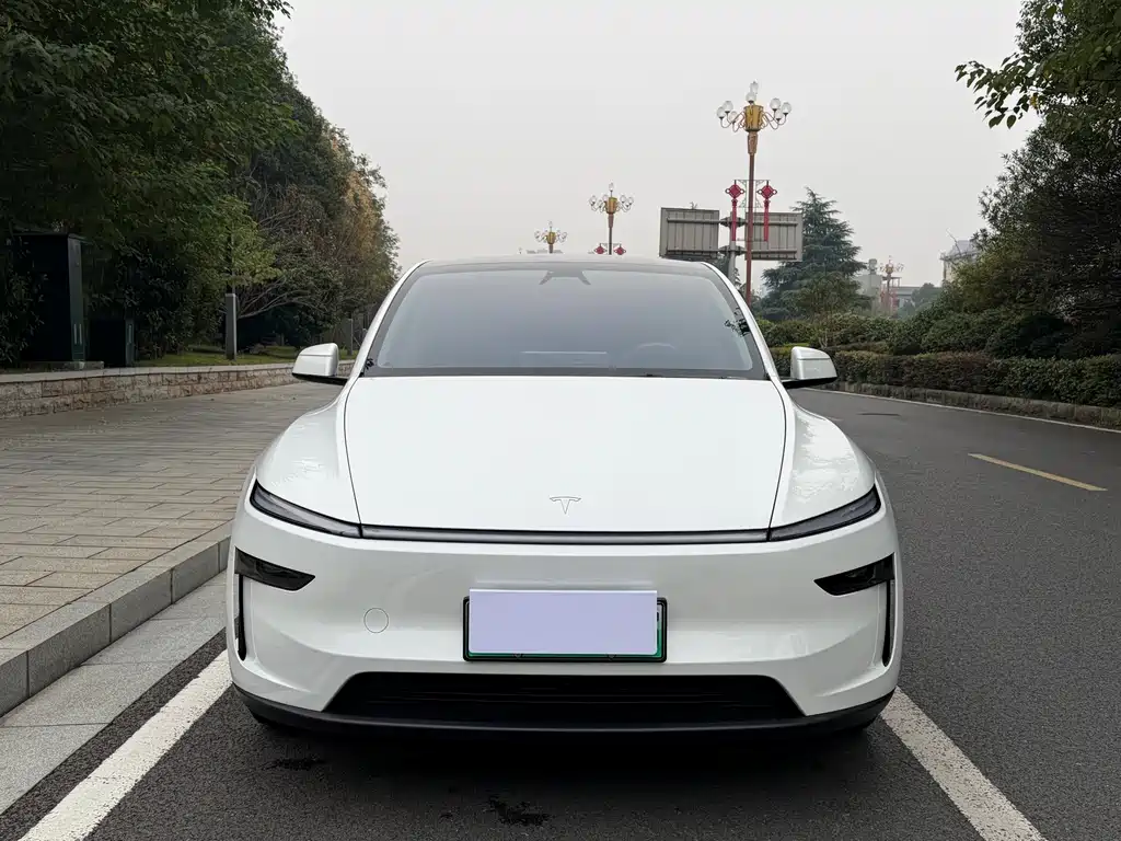 Tesla Model Y — миниатюра 2