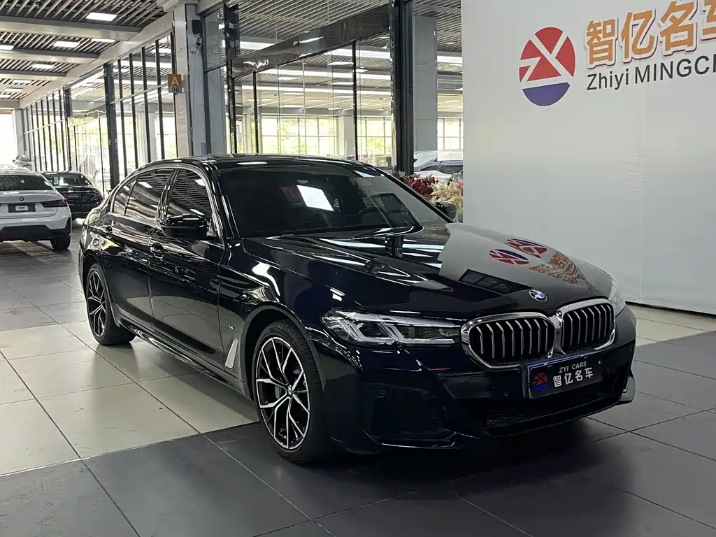 BMW 5 Series — миниатюра 3