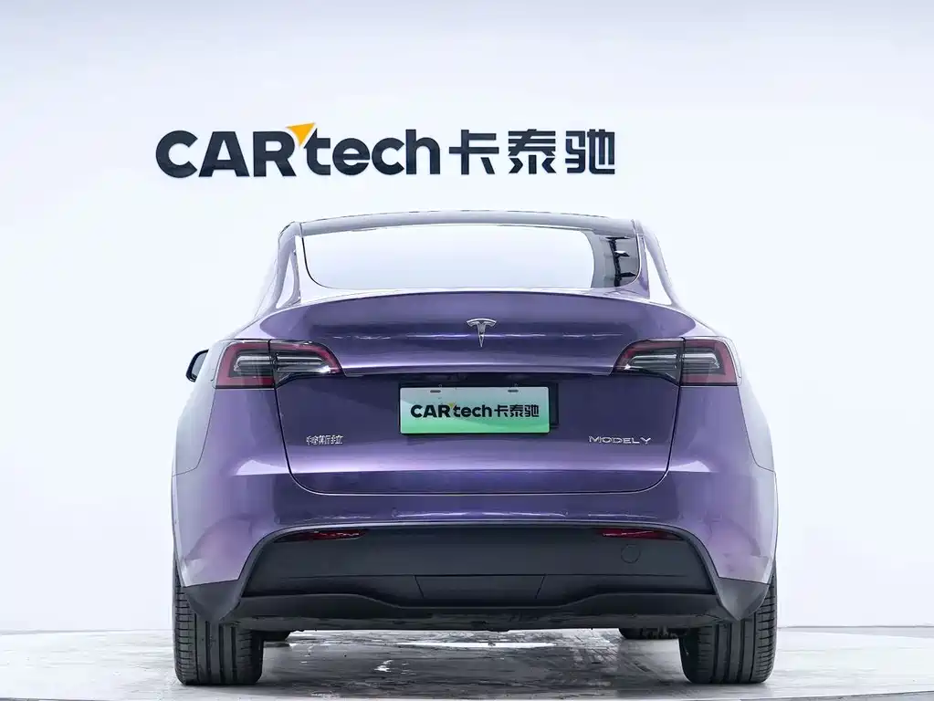 Tesla Model Y — миниатюра 7