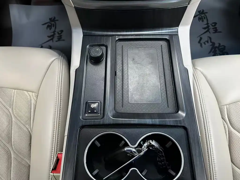 Buick GL8 — миниатюра 12