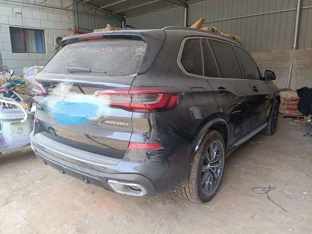 BMW X5 2022 xDrive 30Li Premium M Sport