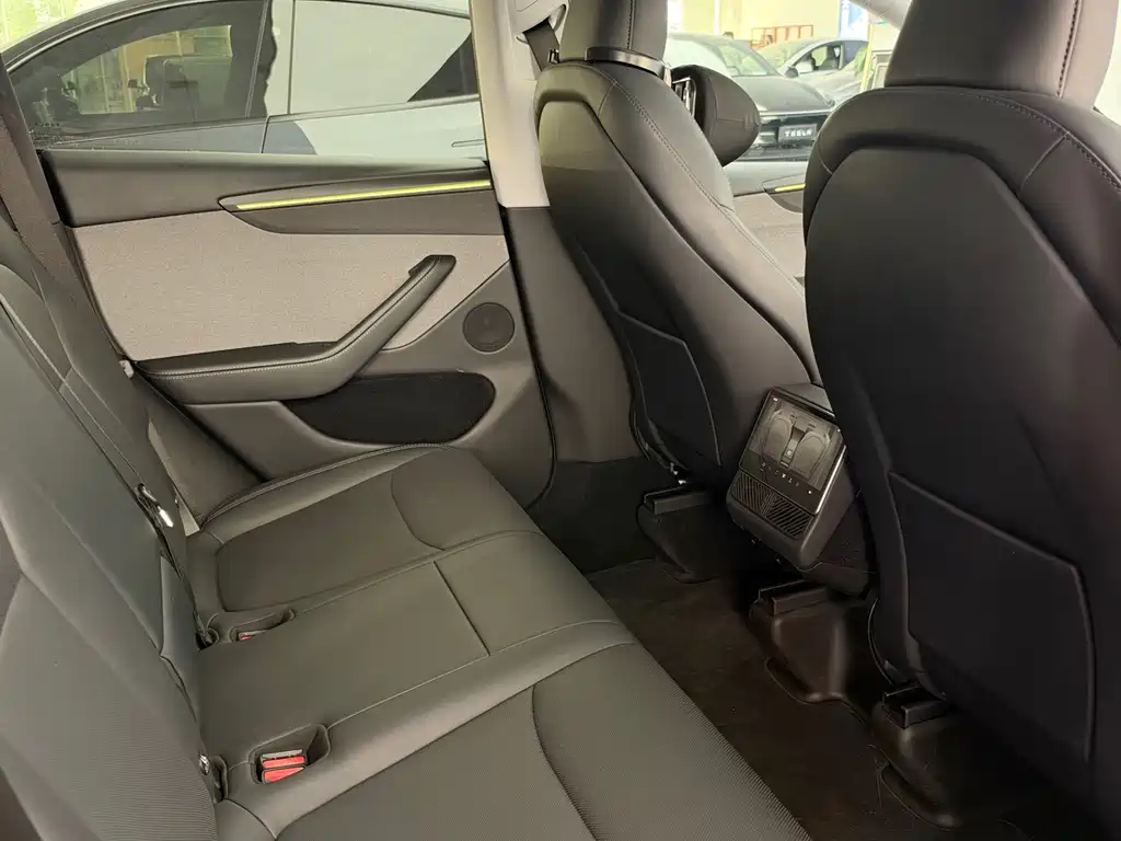 Tesla Model Y — миниатюра 4