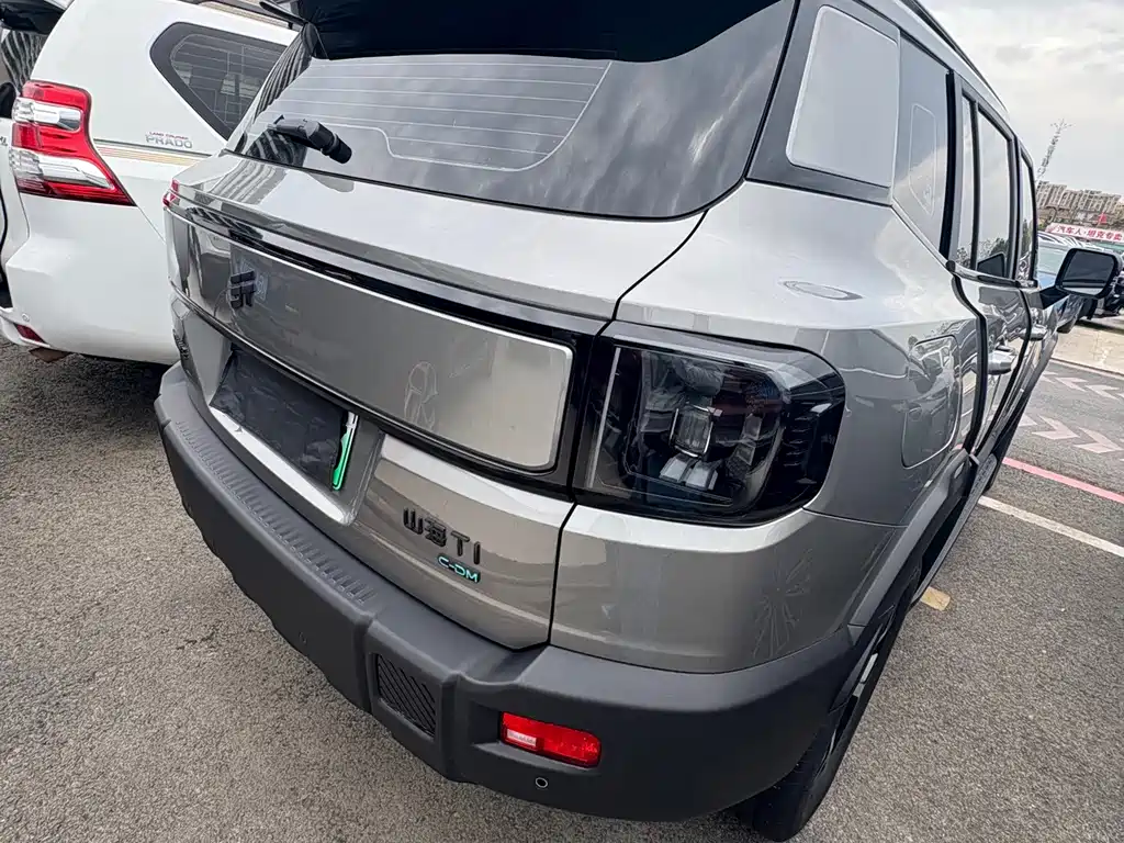 Shanhai Shanhai T1 — миниатюра 16