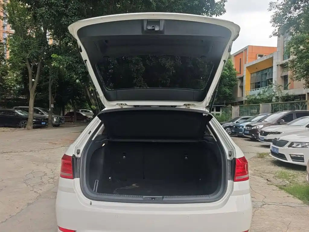 Volkswagen Gran Lavida — миниатюра 19