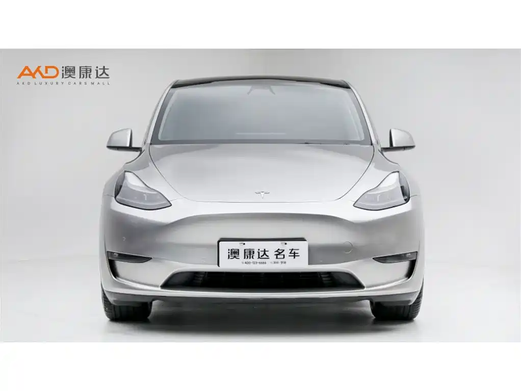 Tesla Model Y — миниатюра 2